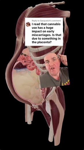 One thing I’ve noticed is that everything is blamed on women, and we rarely talk about how men’s health affects pregnancy in women. Videos like this are needed.