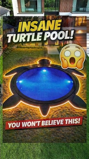 Garden Mein Bana Diya Duniya Ka Sabse Anokha Turtle Pool! 🐢🌊"#turtlepool #swmingpool #shortsvideo