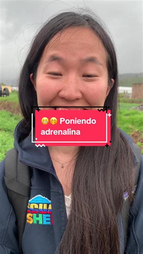 Hablar idiomas es posible: Kichwa y más