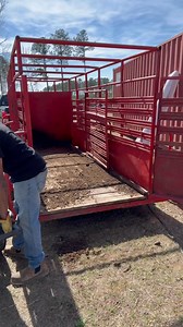 Turning Pig Poop into Fertilizer. #iamlarrybjr #homesteading #growyourownfood | Larry Brown Jr.