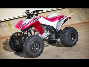 New 2023 Honda TRX250X Sport ATV / Quad | Walkaround + Exhaust Sound