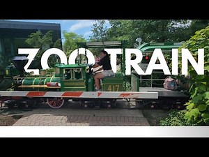 Cincinnati Zoo Train