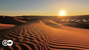 How to hold back the growing deserts?