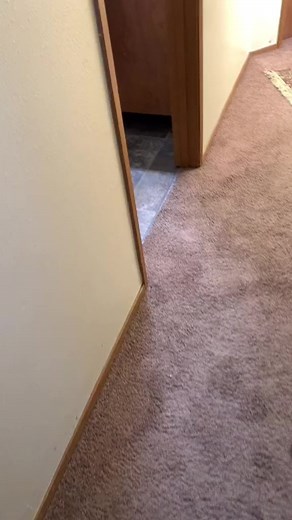 510K views · 10K reactions | 622_You can use CODE RAFAEL for 20% off your order. @Pluto Case #plutocase | Bevis | Facebook