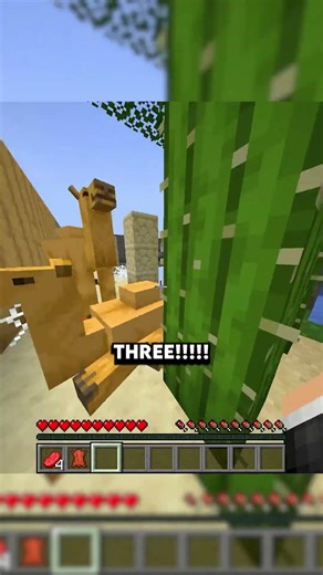 Minecraft Duck hunt! (runner POV)