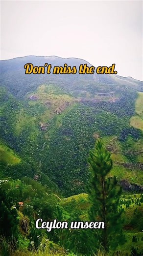 Don't miss the end.💚🌿💆 follow fro more hidden place in sri lanka🇱🇰 #travel #trending #fyp
