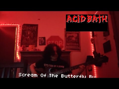 Scream Of The Butterfly - Acid bath bass cover