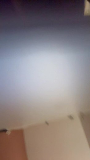 friends that poop together stay together | friend