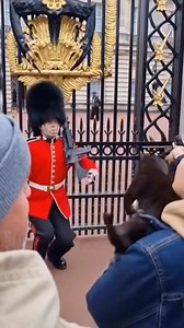 Pet my Kitty 🐈‍⬛ #cat #guard | Status.ai