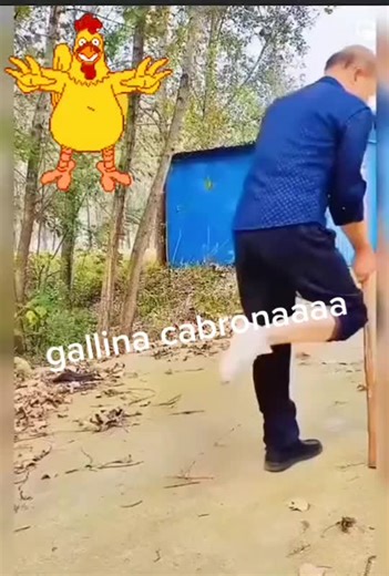 Man and Chicken Interaction in Outdoor Setting