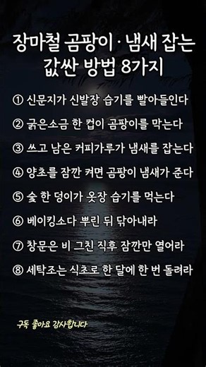 장마철 곰팡이·냄새 잡는 값싼 방법 8가지 #장마철 #곰팡이제거 #습기제거