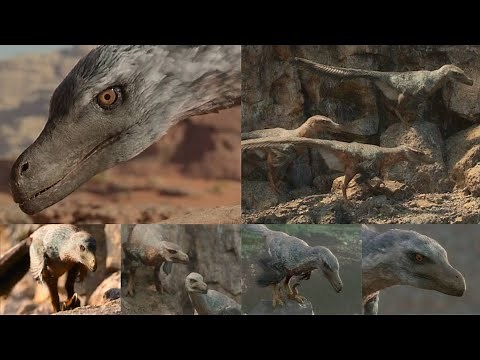 Prehistoric Planet [2022] - Velociraptors Screen Time