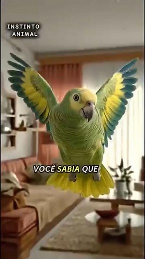 A inteligência surpreendente do Papagaio