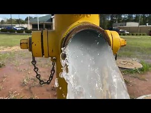 Flushing the Hydrant - April 7, 2022