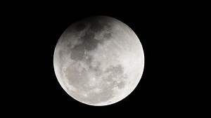 Le patron d'Amazon veut coloniser la Lune (et il est très sérieux)