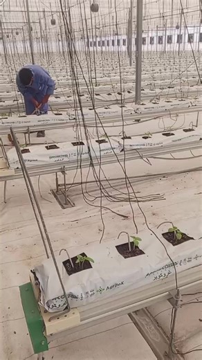 Exploring Agriculture in Sri Lanka: The Greenhouse Revolution