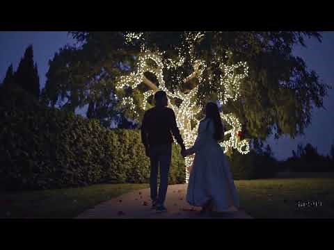 La Chanson de la Saint-Valentin | Une Ode à l’Amour | Echorise Music