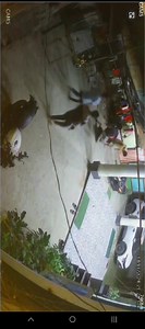 One madman trying to attacked the Type-I colony Public at seppa. | News of Arunachal Pradesh