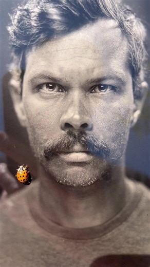 Fox Tintype on TikTok