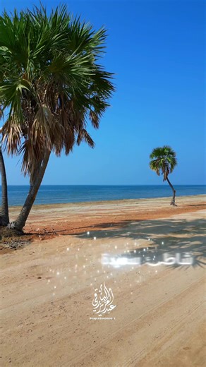 شاطئ سعيدة الصوالحة في منطقة عسير