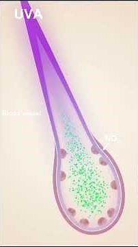 How Different Wavelengths of Light Affect Us #light #wavelength #body
