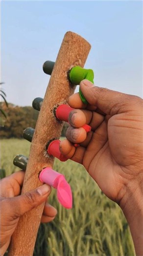 Slow Motion Assessment of Bamboo Slingshot #SlowMotion #BambooCraft #DIYFun #OutdoorShots