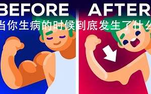 Kurzgesagt科普：当你生病的时候到底发生了什么（中英字幕）