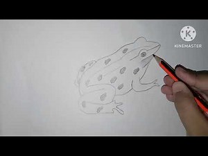 Learn to draw a frog/ simple frog drawing step by step