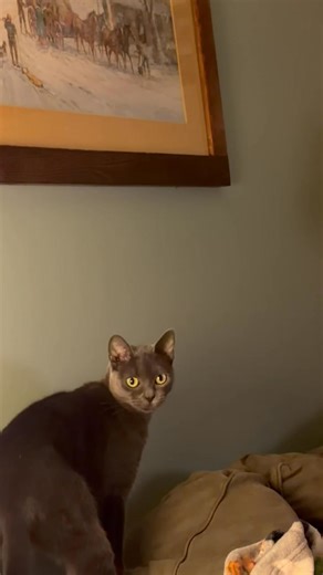 As I always said, she’s bad | Barbara Gallagher