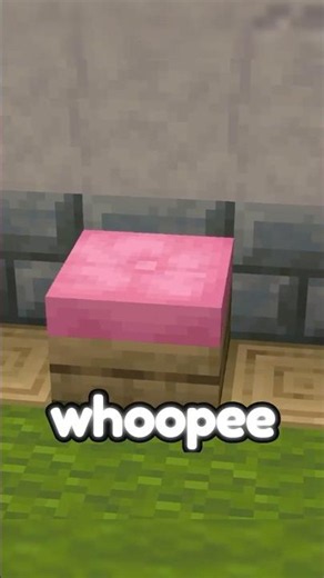 they added WHOOPIE CUSHIONS to MINECRAFT TOO!!!