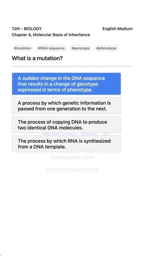 Mutation Explained 12th Biology Molecular Basis of Inheritance