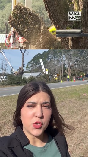 Georgia Power has taken down a historic Chatham County tree, weeks after residents thought that they had saved it. Grace Rodriguez TV has more: https://www.wjcl.com/article/chatham-county-live-oak-georgia-power/70495369 | WJCL News