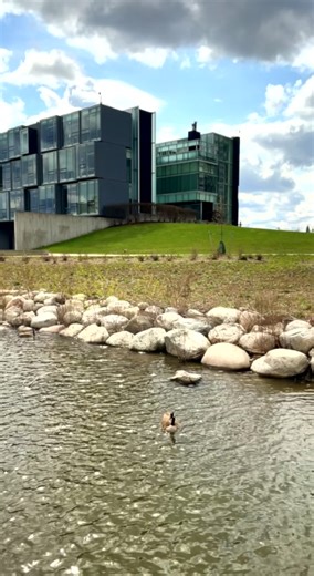 Julia McIntyre on TikTok