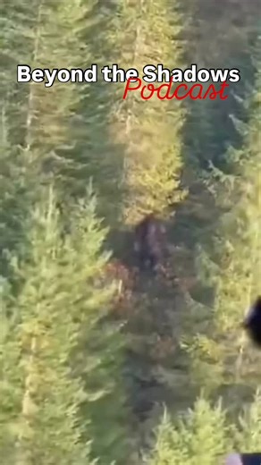 7.9K views · 19 reactions | Check page for - Podcast information...