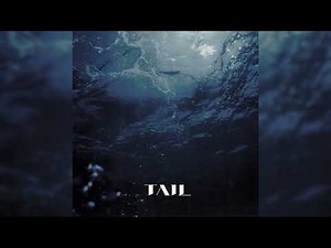 TAIL / Fundus (Audio)