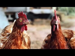 Twix candy NEWEST TV commercial “ Cookie Dough with talking hens “😆😆😆