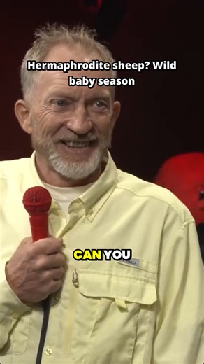 Chaos on the Farm: The Hermaphrodite Sheep Story