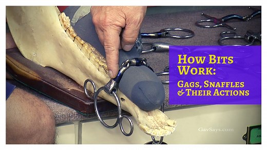How Horse Bits Work - Gags, Snaffles & Their Actions