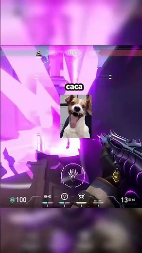 pipi caca kiki prout ...