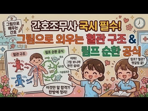 [해부생리] 간호조무사 국시 필수! 그림으로 외우는 혈관 구조와 림프 순환 공식 #간호조무사시험 #간호조무사자격증 #간호조무사강의 #간호조무사요약정리 #간호조무사국가고시
