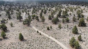 5.3K views · 66 reactions | Did you miss out on this first annual Mini Bike Enduro 100 by Gambler 500? Well, here's a little recap. Enjoy! | Coleman Powersports | Facebook