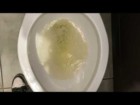 🚽McDonald’s bathroom tour sink and Kohler highline toilet