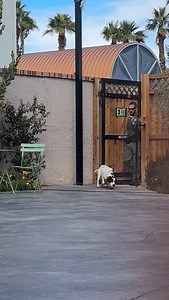 The Mob Museum on Reels