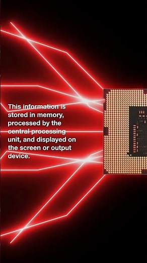 How do COMPUTERS Work?