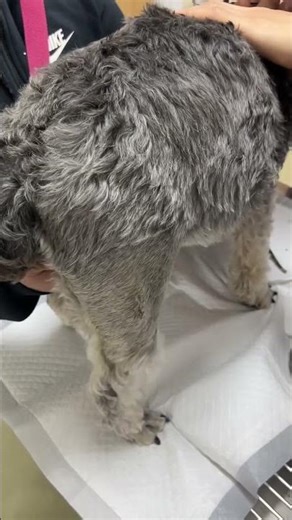 Adorable Kids' Scared Faces: A Heartwarming Showdown