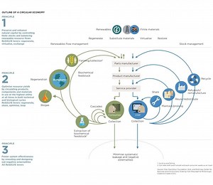 Here's how businesses can make the circular economy a reality