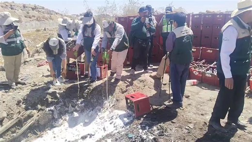 #AQPNOTICIAS 🔴 Destruyen más de 2,300 bebidas decomisadas en Cerro Colorado La subgerencia de Licencias e ITSE procedió a la eliminación de un total de 2,333 bebidas que fueron incautadas durante operativos recientes. ✅ Lo destruido incluye: • 1,752 botellas de cerveza • 197 botellas de vino, ron, whisky y otros licores • 348 bebidas entre gaseosas y energizantes Estas bebidas fueron retiradas por incumplir las normas municipales y ya no podrán regresar al mercado. #AQPNOTICIAS #CerroColorado #