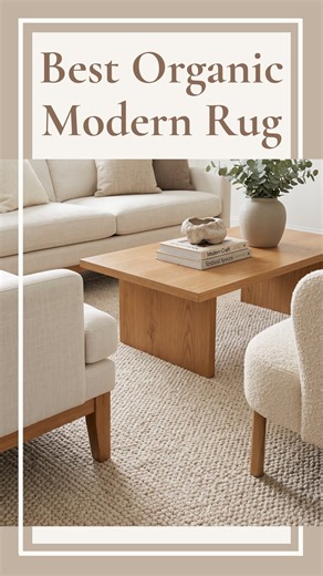 Best Rug for an Organic Modern Living Room