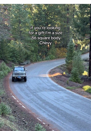 with a mini aussie in the passenger seat… #squarebody #squarebodychevy #k10 #vintage #christmas