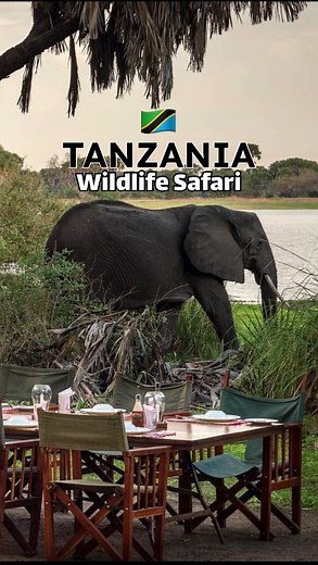 45K views · 14 reactions | Interesting Facts About Wildlife in...